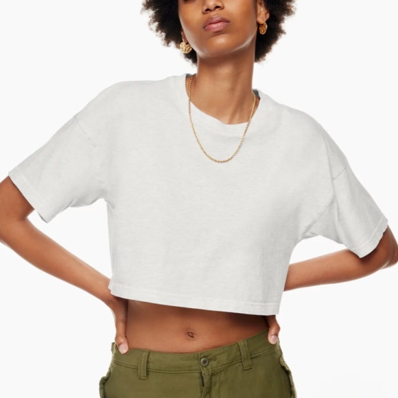 Aritzia Tops - Aritzia/TNA "Laid Back T-Shirt"